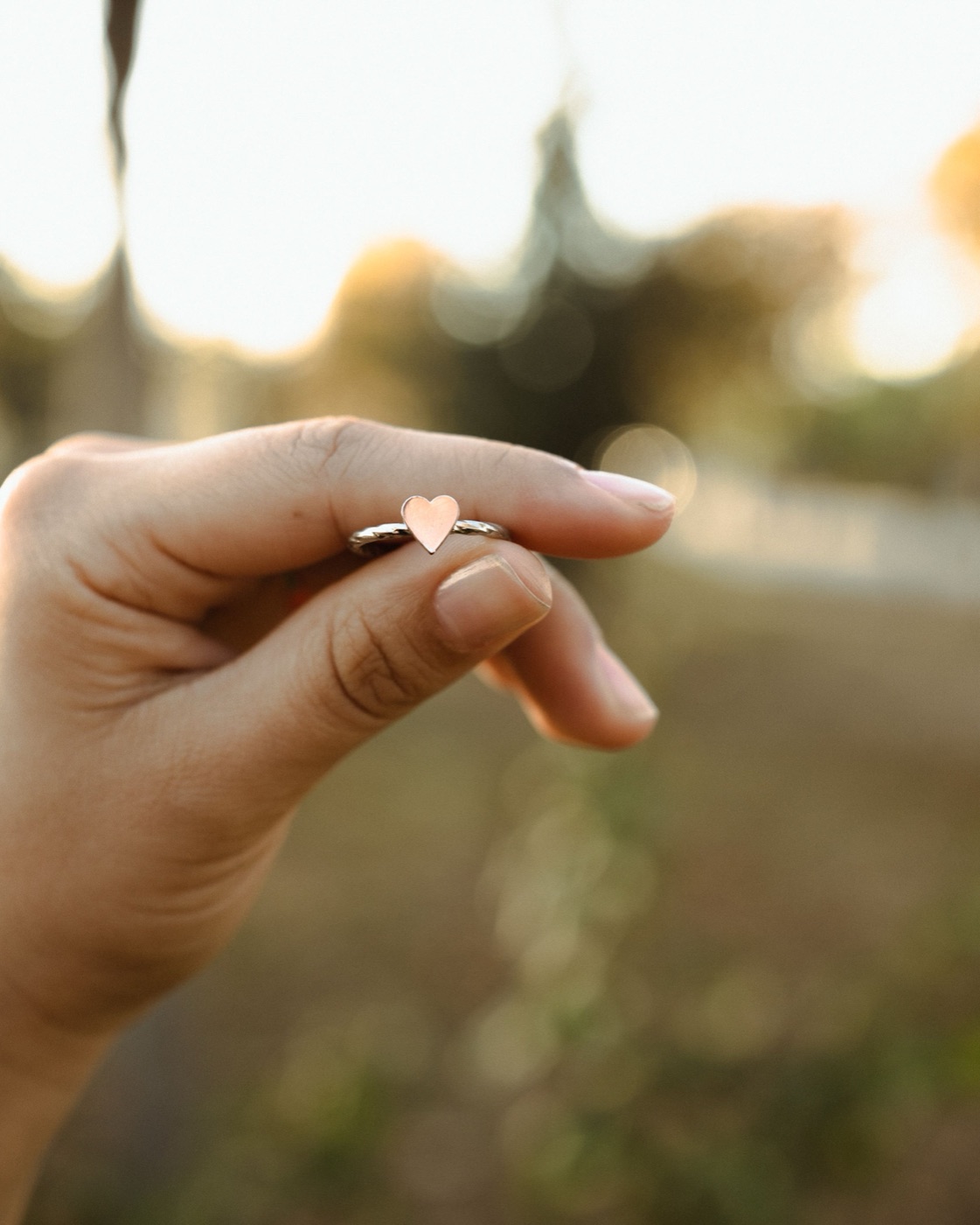 A ring held up to the light